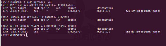 _images/iptables_vnL.png